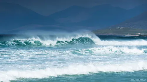 White Horses at the beach post image