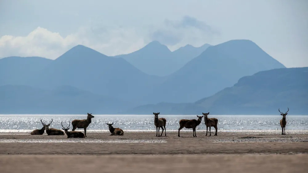 Where the Highlands meet the tide post image