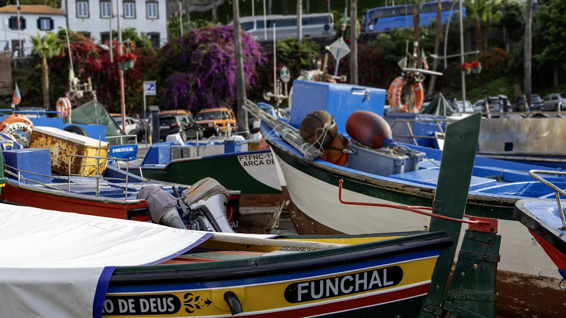 A magical day in Madeira