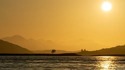 Lone tree sunset