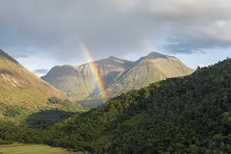 Mountains