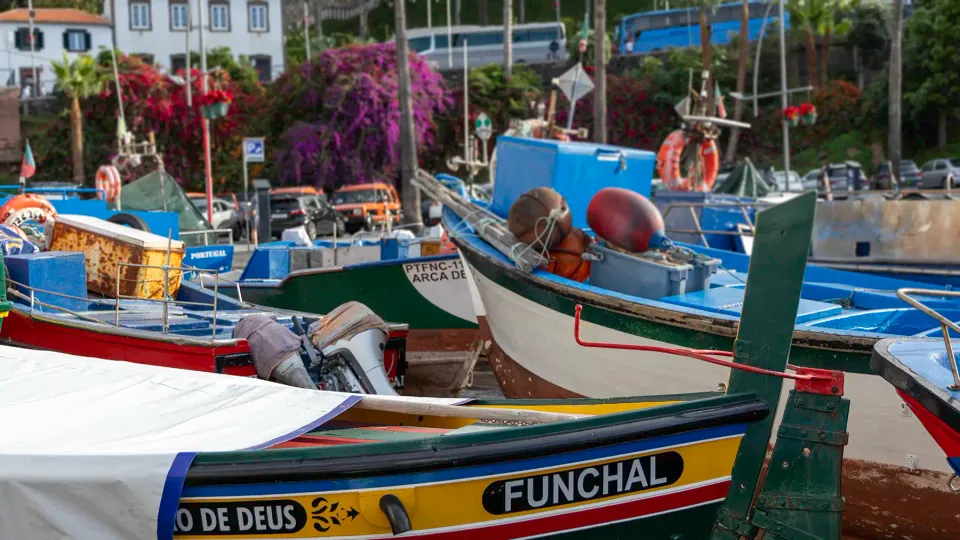 A magical day in Madeira